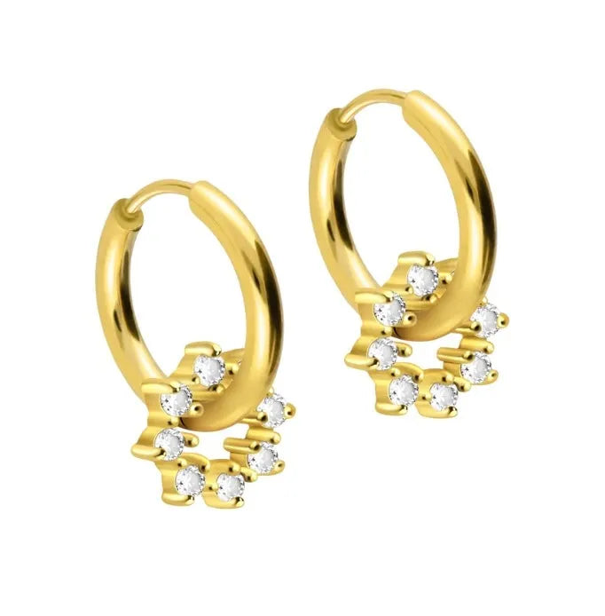 Surgical Steel 316L - Hoop Earrings Crystal Flower