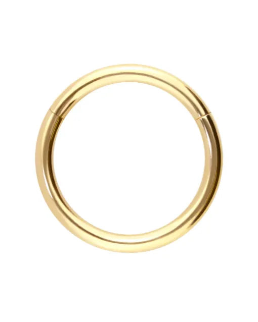 18 Carat Gold - Hinged Segment Hoop Piercing