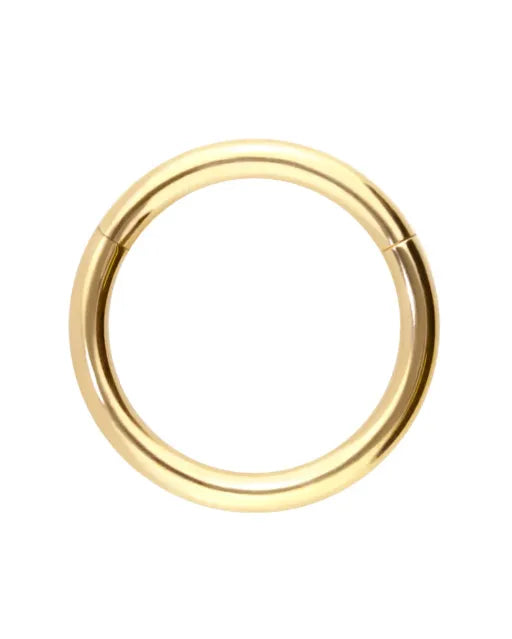 18 Carat Gold - Hinged Segment Hoop Piercing