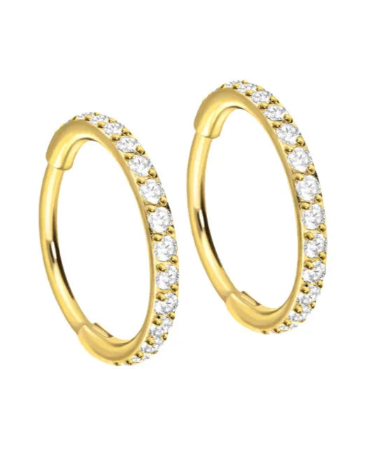 Titanium - Hinged Hoop Earrings Dainty Crystals