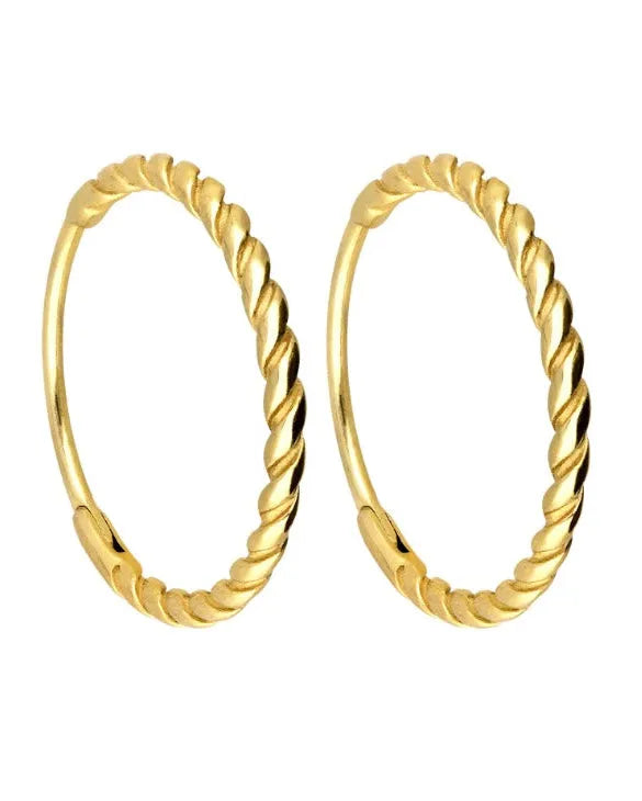 Surgical Steel 316L - Twisted Hoop Earrings